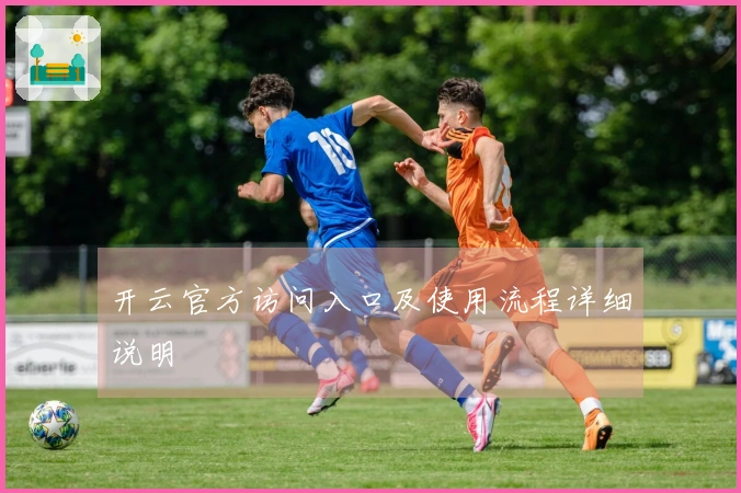 开云官方访问入口及使用流程详细说明