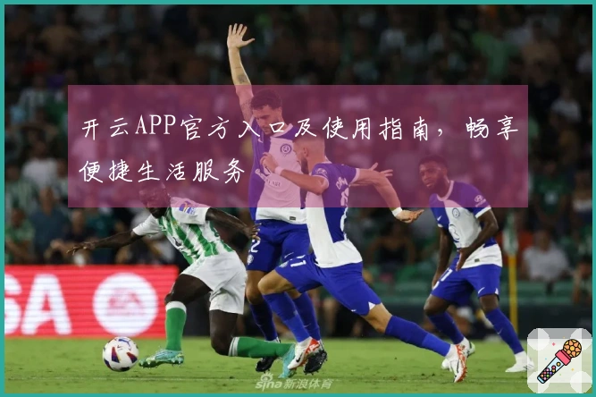 开云APP官方入口及使用指南，畅享便捷生活服务