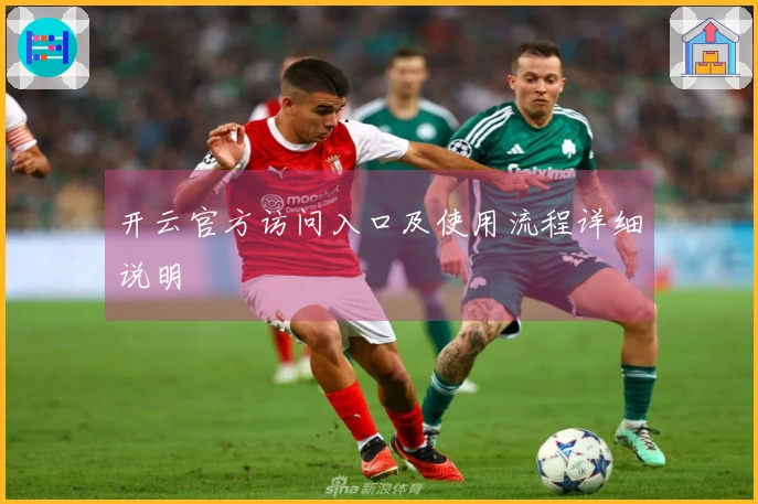 开云官方访问入口及使用流程详细说明